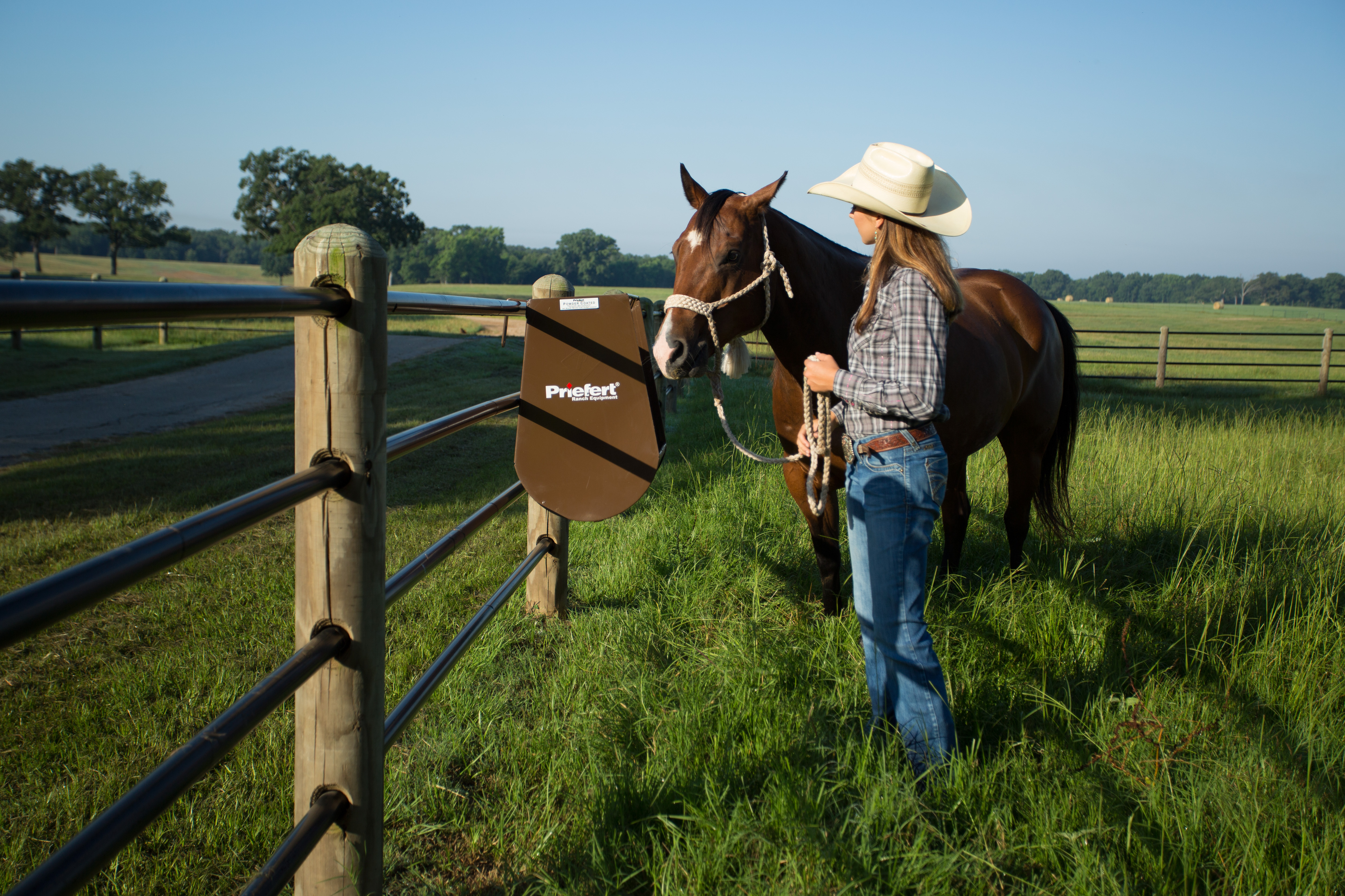Horse Feeder HGFBN 29.jpg